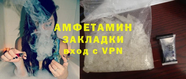 PSILOCYBIN Бородино