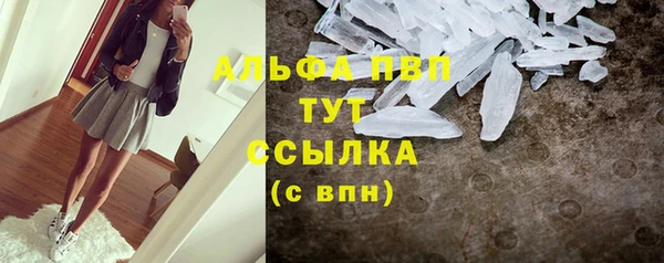 PSILOCYBIN Бородино