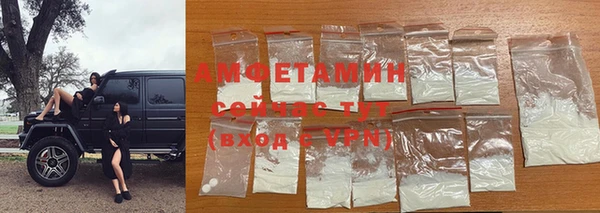 PSILOCYBIN Бородино
