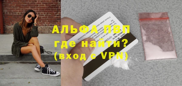 PSILOCYBIN Бородино