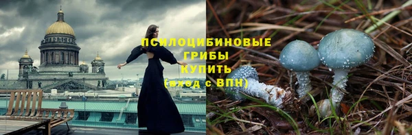 PSILOCYBIN Бородино