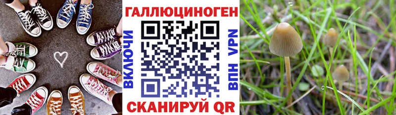 Галлюциногенные грибы Psilocybe  наркошоп  Чудово 